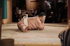 Fat Direct Nutrend