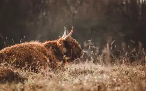 Jak Reklamovat Zboží